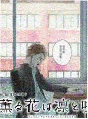 披荆斩棘 综艺封面